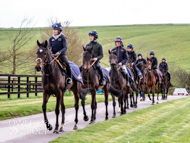 AK060423-8 - Horses coming from warm up